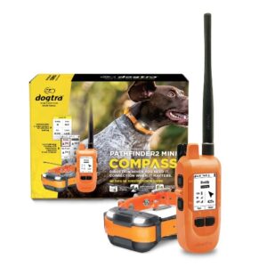 Pathfinder2 MINI Compass